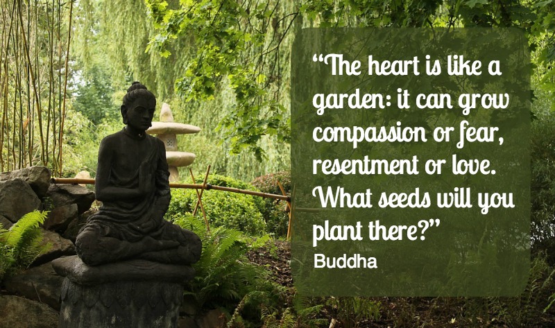 8 elementer til Zen hagen